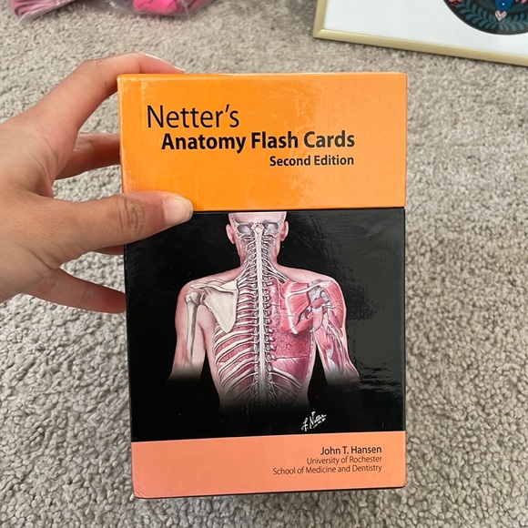 elsevier Other Netter Anatomy Flash Cards Poshmark